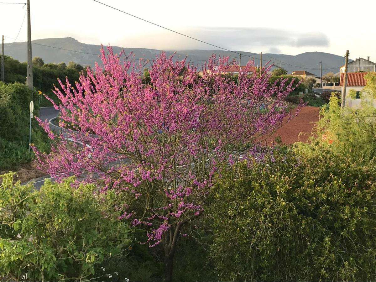 Ceu Sobre Montejunto Boutique B&B Cadaval Zewnętrze zdjęcie